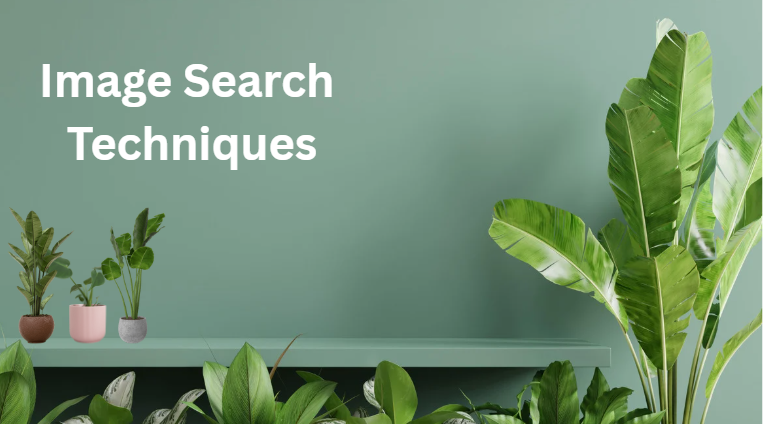 Image Search Techniques Image Search Techniques