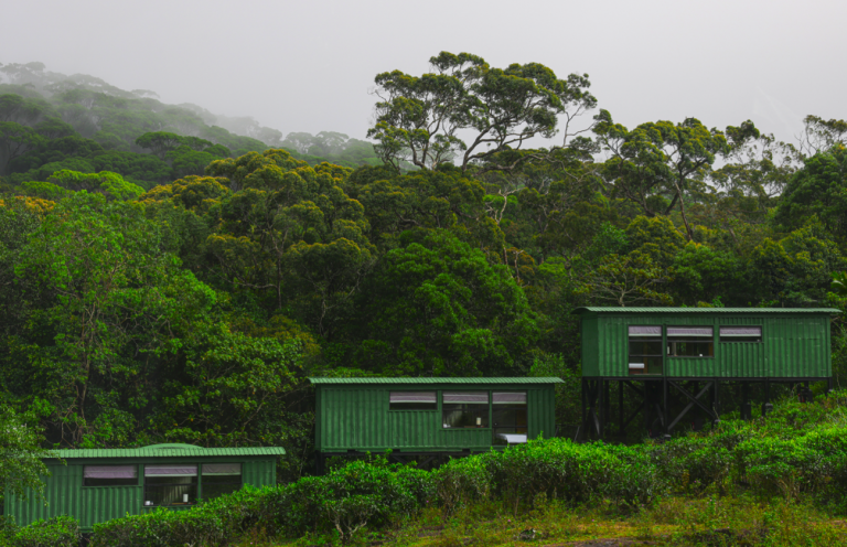 The Rainforest Ecolodge in Sri Lanka near the Sinharaja Forest Reserve